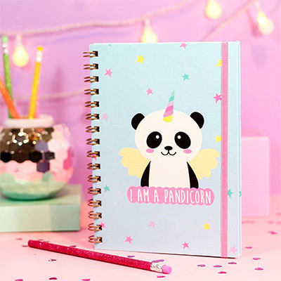 cuaderno panda